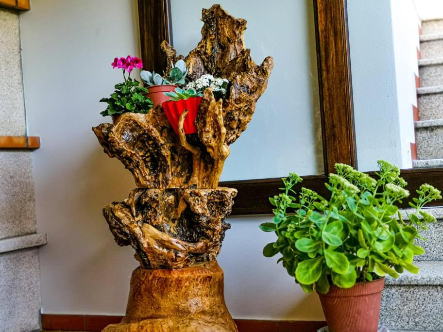 Casa Carolina Guest House Vila Seca  Ngoại thất bức ảnh